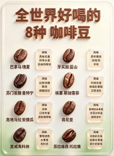咖啡入门必看｜8款全球热门咖啡豆风味全解析☕