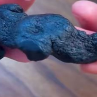 林下仿野生黄精好在哪?大别山多花黄精,旺复堂品质甄选