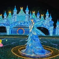 本馆抢票难如演唱会，西馆免预约！苏州博物馆夜场亲测避坑指南