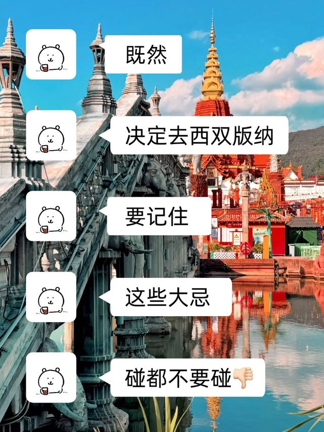 西双版纳真实感受…只有我这么认为吗😭