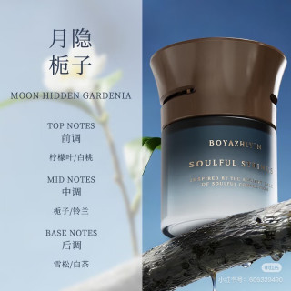 车载香薰选购指南