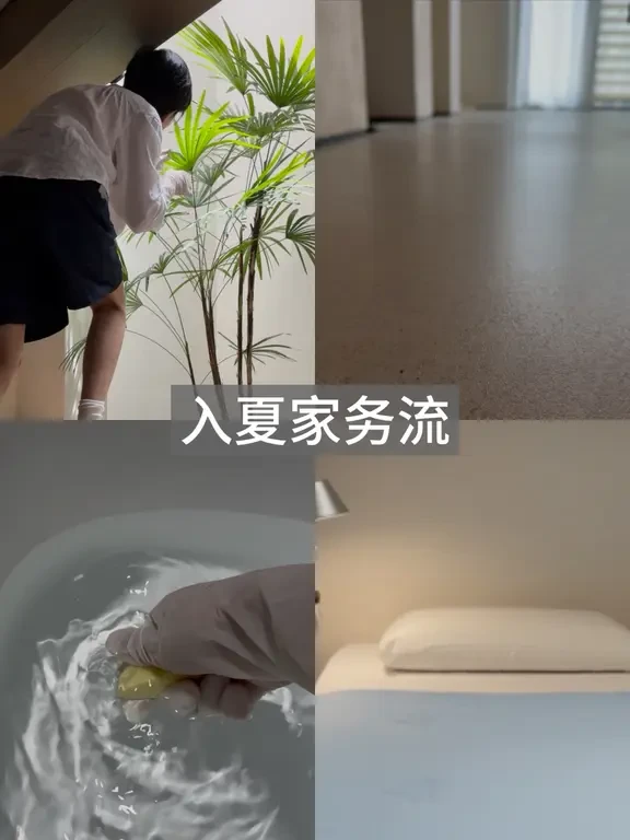 6个夏季家务流程|告别粘腻天|解决异味烦恼