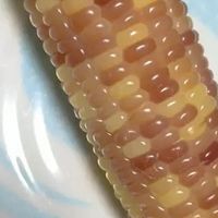 减脂期主食天花板！这根小玉米好吃到跺脚