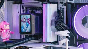 DDR5内存别花冤枉钱：差价1800块帧率差距不到8%，选对它立省1800