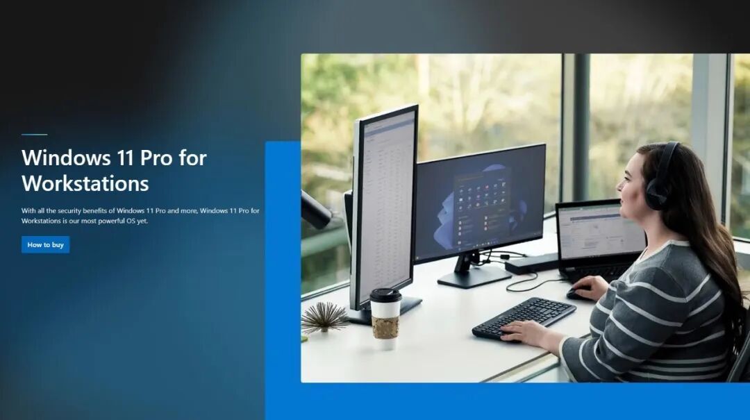 Windows 11专业工作站版：微软隐藏的"专业版 Max"