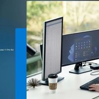 Windows 11专业工作站版：微软隐藏的"专业版 Max"