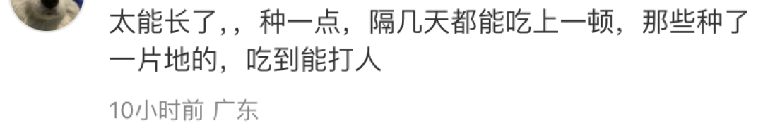 地铁出现“豆橛子之神”，土味营销狠狠刷屏！