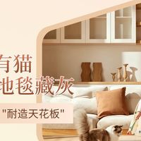 家里有娃有猫，瓷砖太硬地毯藏灰，伟业强化地板是"耐造天花板"