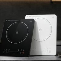 电磁炉哪个牌子好？10款圈内主流品牌分享
