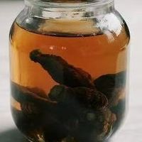 纠结黄精哪个牌子好？看这篇，详解有机黄精与即食黄精选购细节
