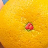 痔疮脱出肿痛日常护理必需品分享！