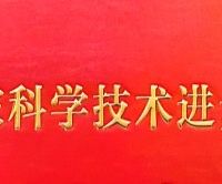 打破行业十年空窗，中策橡胶荣膺国家科学技术进步奖
