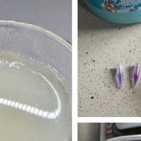 蛋白粉品牌哪款口碑热度双高？2026年值得入手的十大款式倾情推荐