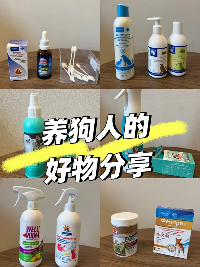 养狗人的必备清单