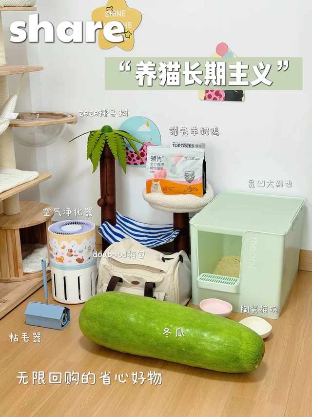 养猫长期主义｜无限回购的省心好物share