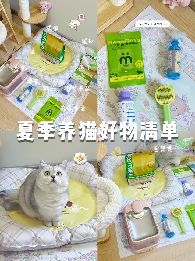 夏日养猫好物清单｜多猫家庭也能轻松过夏天