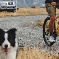 千元档山地车哪款好？实测高性价比国产山地自行车！