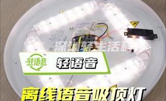 断网后智能灯还能用吗？离线/在线语音对比测评