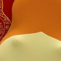 腰部按摩器哪种最好？腰肌劳损别乱买｜十大品牌深度对比