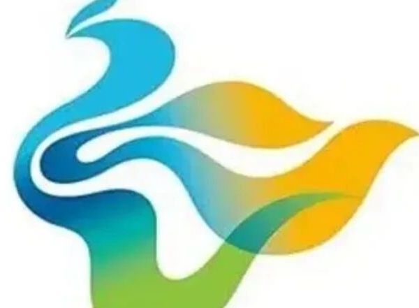 2026 成都本地全屋定制优选｜成都鑫新诚家居，深耕双流十年，环保柜类一站式定制专家