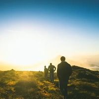 三伏天登山热射病72小时死亡率超50%：5个早期信号和科学补水法能救命