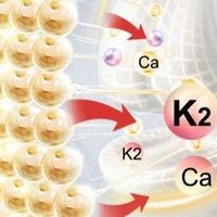 更年期骨密度快速下降怎么调理维生素D3，助力钙扎根稳固骨骼框架