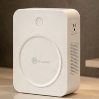 日版和美版的戴森电压不一样你知道吗