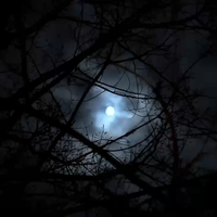 夜观神器还是智商税?肯阿特AI夜视望远镜