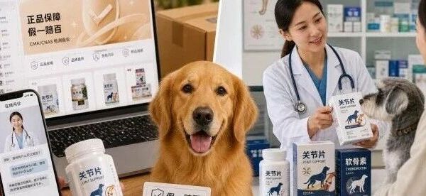 宠物关节片在哪买？线上和线下差在哪