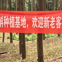 铁皮石斛的“多糖”到底是什么？搞懂这一个字，谁也骗不了你