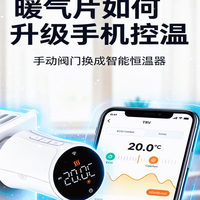 德国布劳斯blossomic出暖气片手机远程控制啦