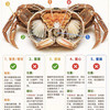 🦀吃蟹不踩雷！能吃/不能吃部位一次性讲清