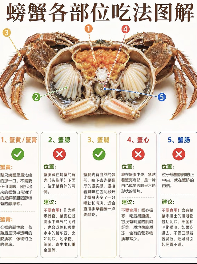 🦀吃蟹不踩雷！能吃/不能吃部位一次性讲清