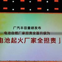 14.78万起的中大型纯电家轿，电池自燃泊车事故衰减全担责，标配15项豪华配置