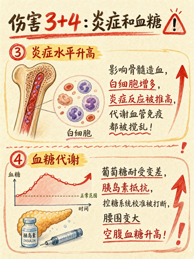基础健康
