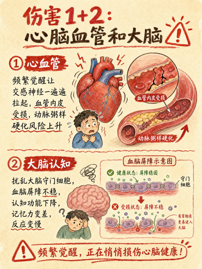 基础健康