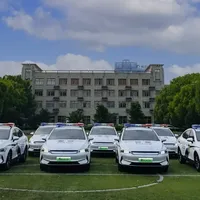 公务车采购风向变了：国内首选比亚迪，海外多国也跟上了