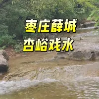 清凉溯溪与自然探索 | 亲子户外7.25日报