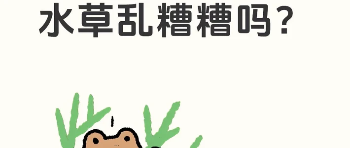 水草布局与低成本雨林骨架 | 水族造景7.25日报