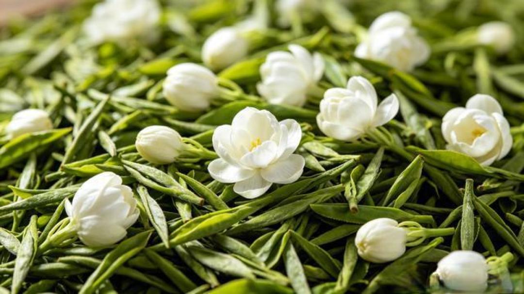 告别选择困难：茉莉花茶四大流派全解析与选购避坑指南