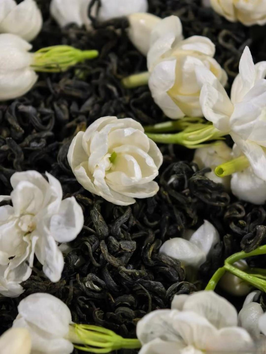 从四大流派到选购技巧,一文带你读懂真正的茉莉花茶