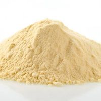 酵母蛋白vs乳清蛋白：谁才是蛋白粉的最优解？看完不再纠结