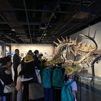 带娃逛博物馆别再走马观花:按年龄选馆+抓住大展品=高效陪逛