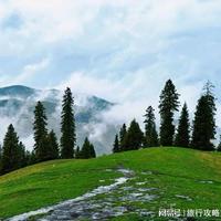 2026暑期定制游彻底爆了:人均12.8万、增长210%,但这个坑让68%游客投诉