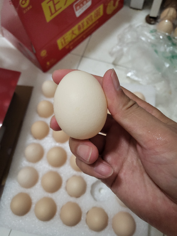 正大食品蛋类