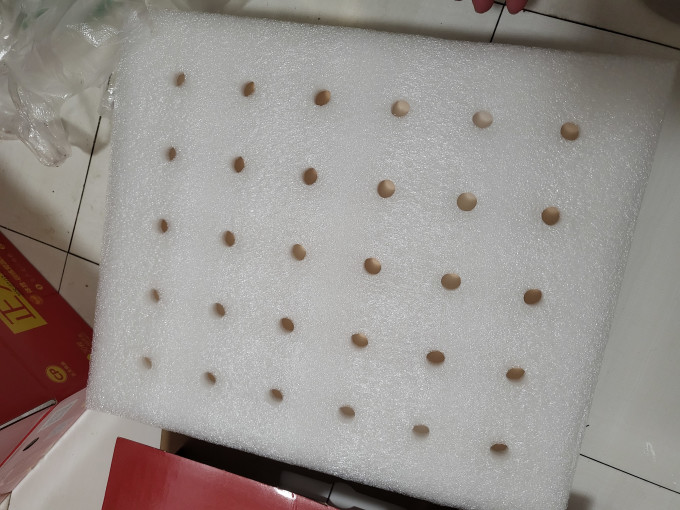 正大食品蛋类