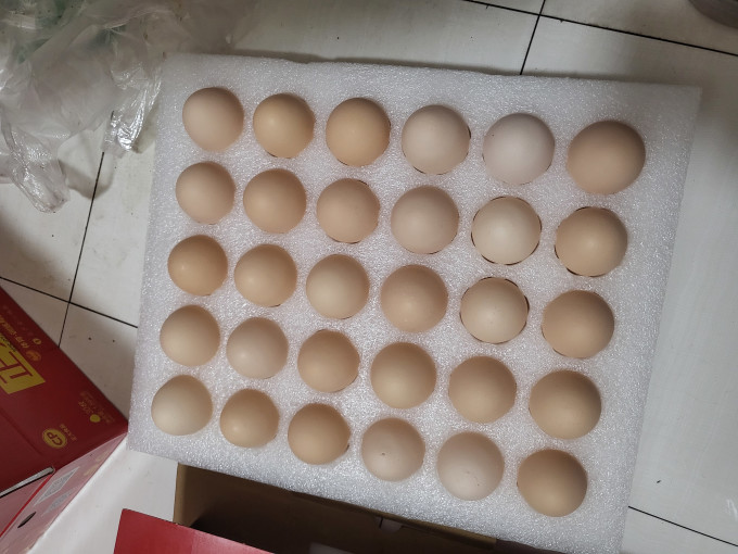 正大食品蛋类