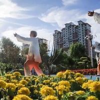 太极处方能降血压、改善失眠？33项研究数据告诉你真相