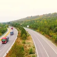 早晚高峰哪个顺风车平台顺路单多？4大主流平台实测对比