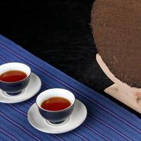 口粮茶到底怎么选？2026年这3个价格段闭眼入不踩坑！